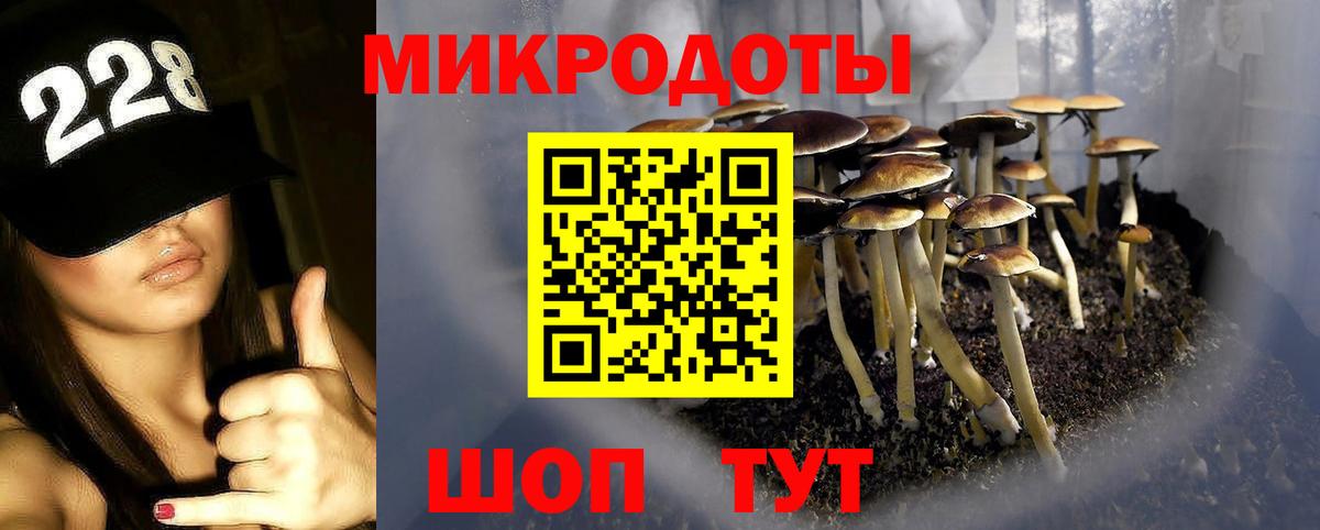 купить наркотики сайты  Галлюциногенные грибы MAGIC MUSHROOMS  Вход с VPN  Борзя 